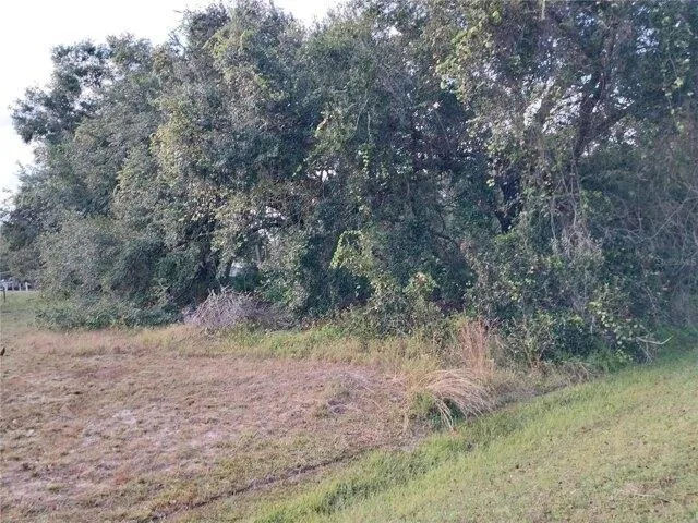 Plot For Sale In Kenansville, Florida