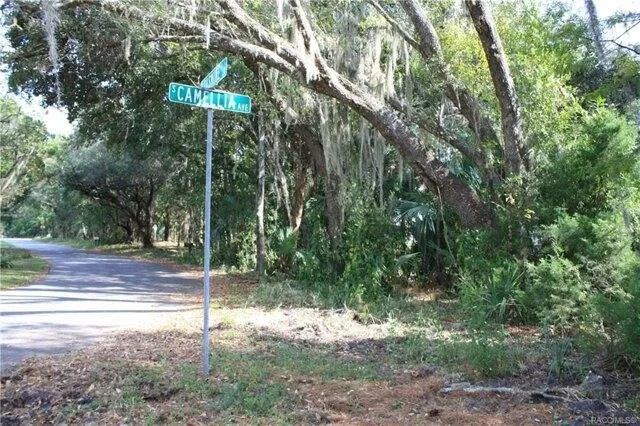 Plot For Sale In Crystal River, Florida
