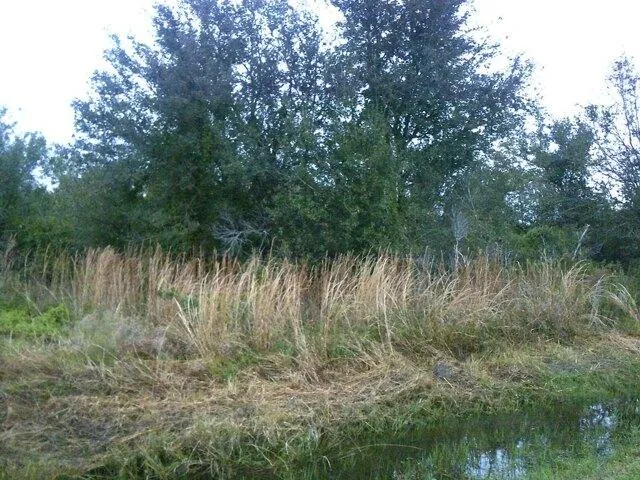 Plot For Sale In Okeechobee, Florida