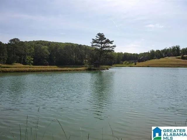 Plot For Sale In Springville, Alabama