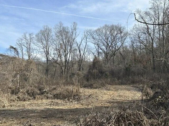 Plot For Sale In Dayton, Tennessee