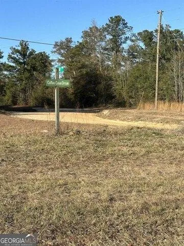 Plot For Sale In Georgetown, Georgia