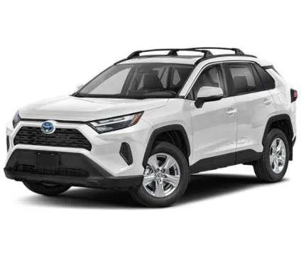 2024 Toyota RAV4 XLE Premium Hybrid for Sale