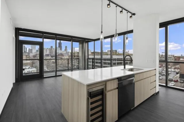 1 bedroom in Chicago IL 60607 for Rent