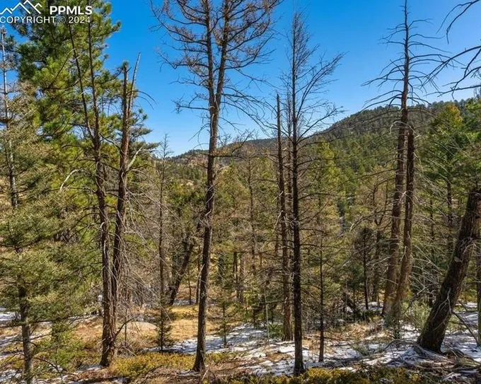 352 Reed Cir, Cripple Creek, CO 80813 - MLS 6835837 for Sale