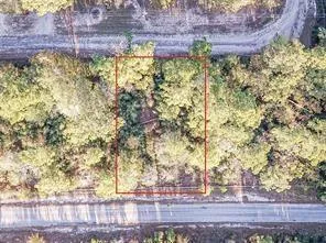 Lot 7 S Estate Dr, Trinity, TX 75862 for Sale