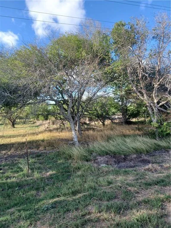 000 County Rd 1360 & Fm 631, Taft, TX 78390 for Sale