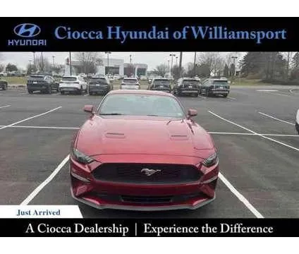 2019 Ford Mustang Eco Boost for Sale