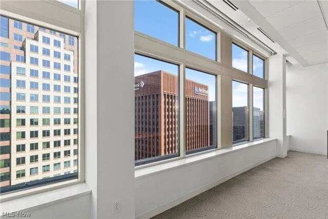 Condo For Sale In Cleveland, Ohio