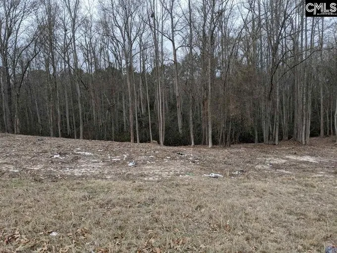 Elgin, Kershaw County, SC Undeveloped Land, Homesites for sale Property ID: 412486303