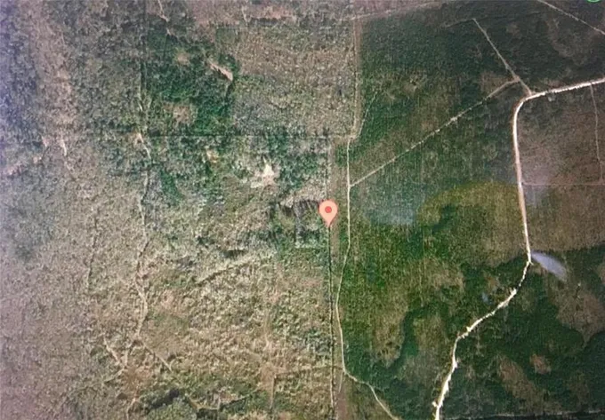 0 AB162 Hardin County Woods, Hull, TX 77564 for Sale