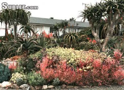 Two Bedroom In South Bay for Rent