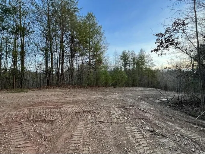 Reliance, Polk County, TN Undeveloped Land, Lakefront Property, Waterfront Property for sale Property ID: 418105841