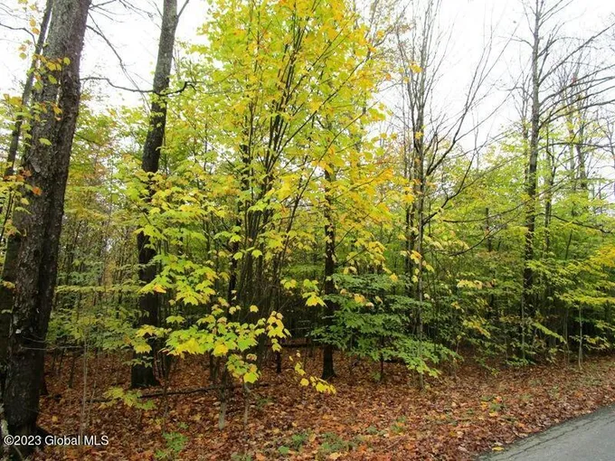 L11 PERAGLIE ROAD, Jefferson, NY 12093 Land For Sale  MLS# 202327275