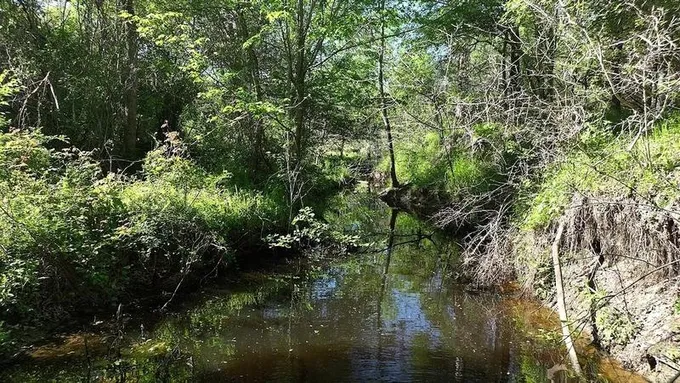 00 County Road 127, Ledbetter, TX 78946 for Sale