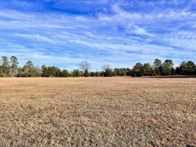 TBD Boggy Rd, Waskom, TX 75692 for Sale