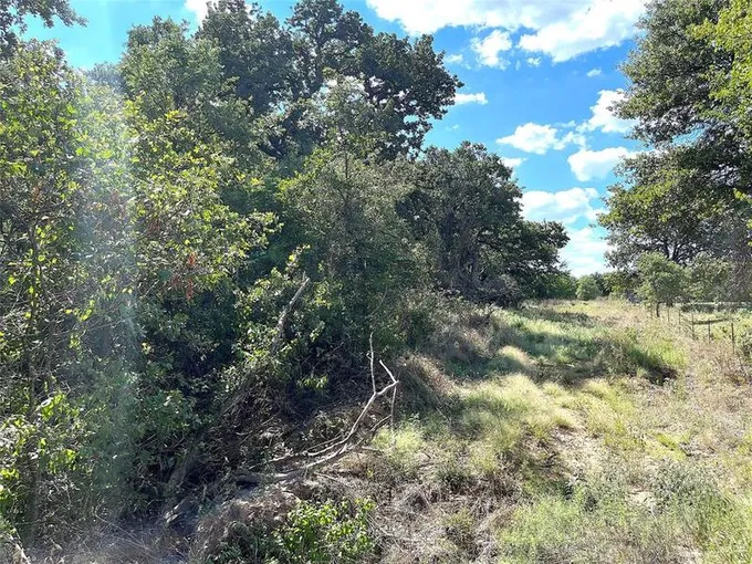 0 Lot 5, POOLVILLE, TX 76487 for Sale