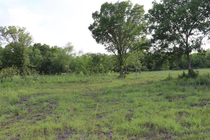 0 Massey Ranch Road, Manvel, TX 77578 for Sale