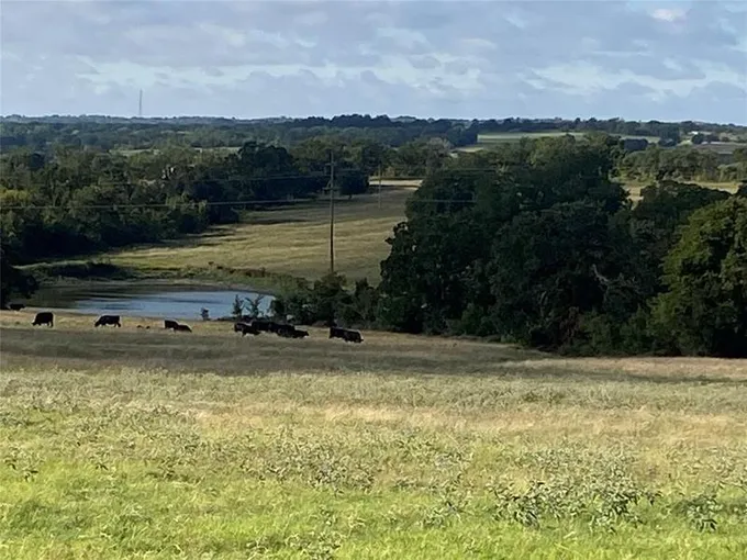 0 Clear Creek Loop, Saint Jo, TX 76265 for Sale