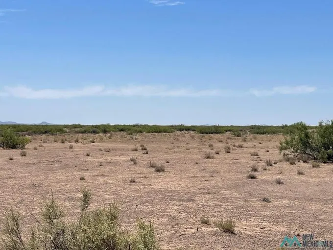 0000 AVENCIA RD SE, Deming, NM 88030 Land For Sale  MLS# 20233752
