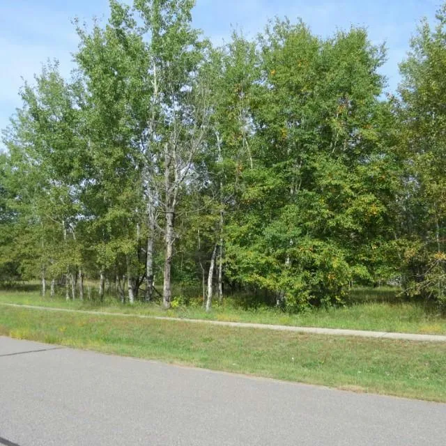 17 MULBERRY LN, Babbitt, MN 55706 Land For Sale  MLS# 6442528