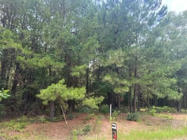 Tbd 9th St, Woodville, TX 75979 - MLS 16417044 for Sale