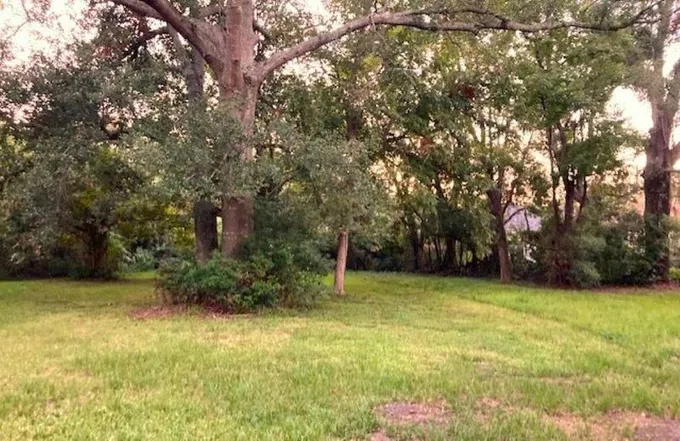 0 MICHIGAN AVENUE, Mobile, AL 36604 Land For Sale  MLS# 7278459