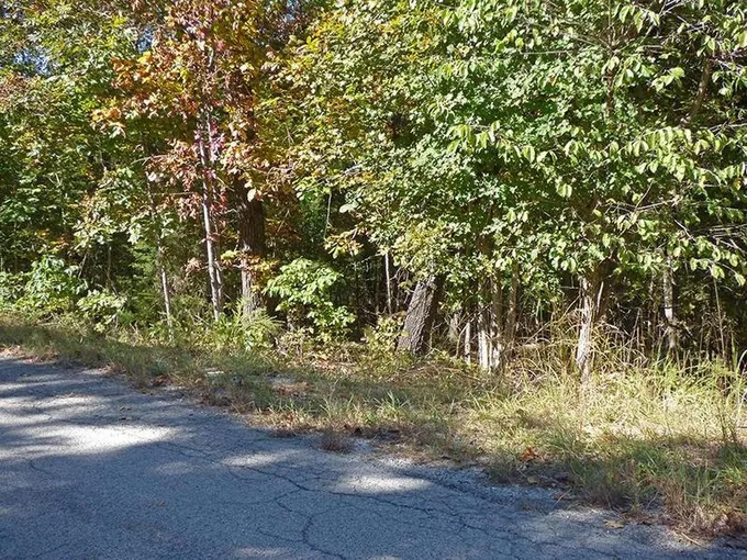 SAGINAW CIRCLE, Cherokee Village, AR 72529 Land For Sale  MLS# 23035401