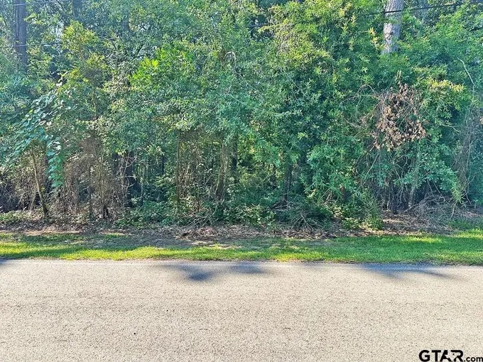 1612 Pineview Lane, Hideaway, TX 75771 for Sale