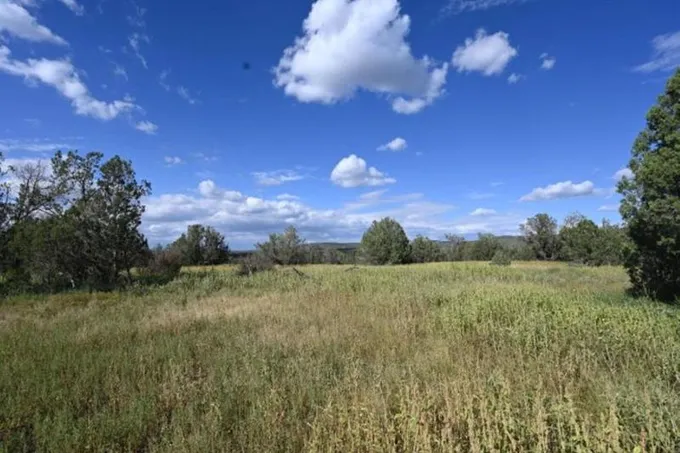 Williams, Coconino County, AZ for sale Property ID: 414990305