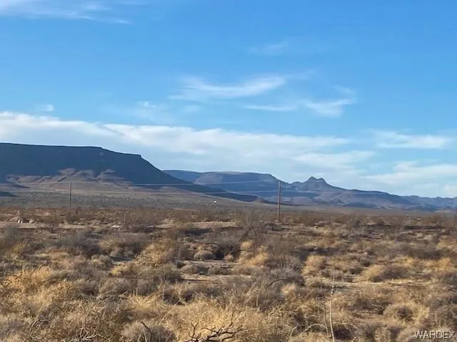 009D S INDIAN BEND ROAD, Yucca, AZ 86438 Agriculture For Sale  MLS# 009343