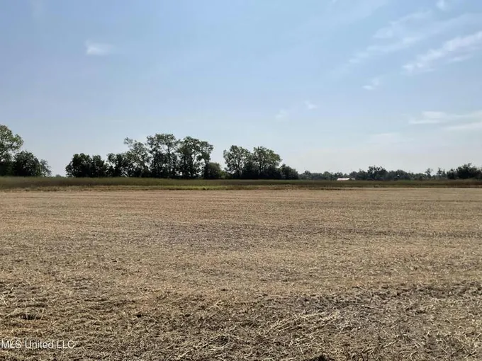CRUM ROAD, Clarksdale, MS 38614 Farm For Sale  MLS# 4059852