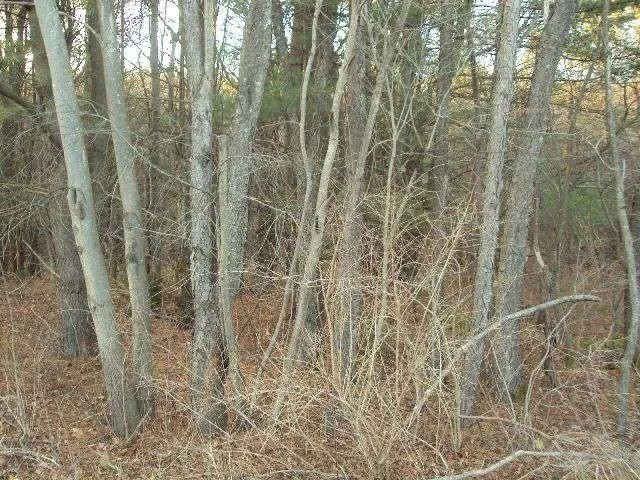 Oneonta, Otsego County, NY Undeveloped Land for sale Property ID: 416878664