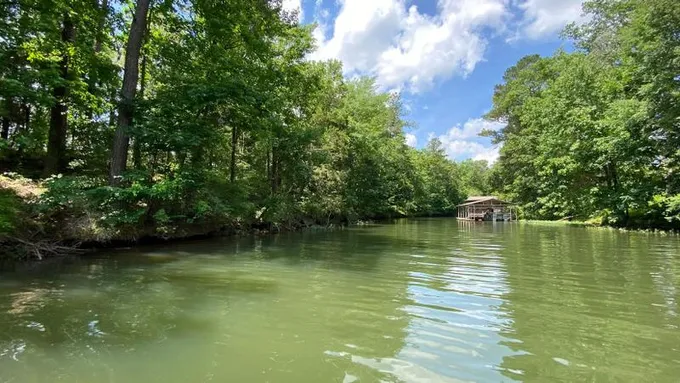 Northport, Tuscaloosa County, AL Farms and Ranches for sale Property ID: 413910273