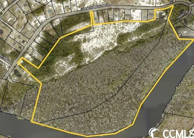 Tbd Francis Marion Dr, Georgetown, SC 29440 - MLS 2012686 for Sale