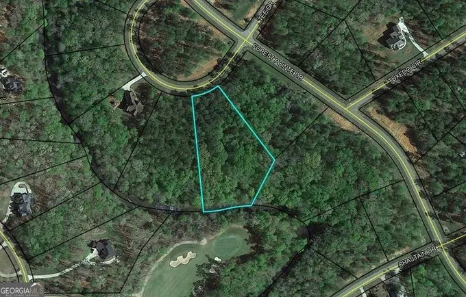 102 FOREST VIEW CIR, Forsyth, GA 31029 Land For Sale  MLS# 20168323