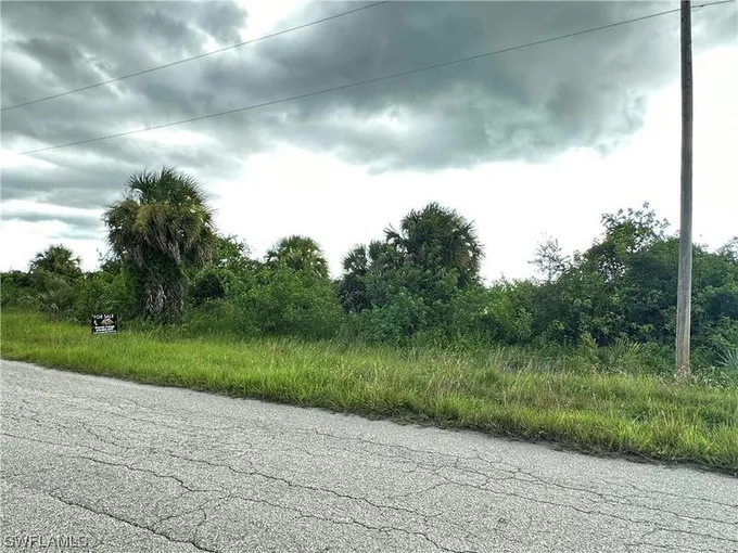 1248 GENOA AVE, FORT MYERS, FL 33913 Single Family Residence For Sale  MLS# 223061158
