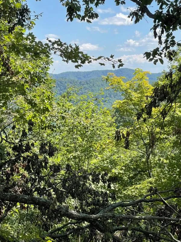 0 OFF NEW HOPE ROAD, Sneedville, TN 37869 Land For Sale  MLS# 700950
