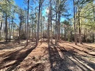 Etoile, Nacogdoches County, TX Undeveloped Land, Homesites for sale Property ID: 415730672