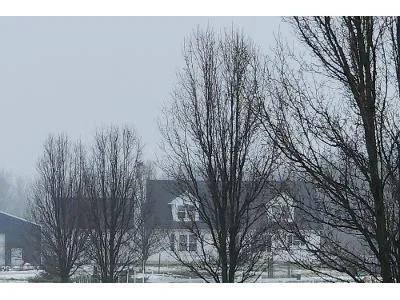 Steiner Rd for Sale
