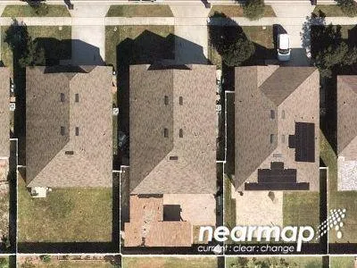 Foxtail Fern Way for Sale
