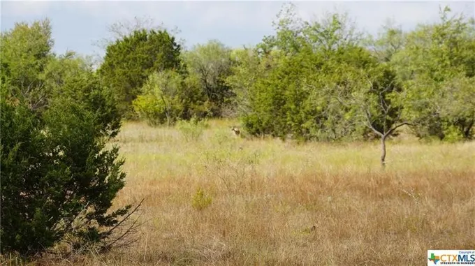 Lot121 Pitchfork Ranch Road, Copperas Cove, TX 76522 for Sale