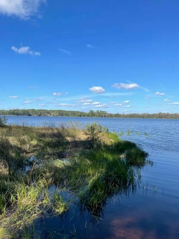 122ND LN, Hawthorne, FL 32640 Land For Sale  MLS# 787035
