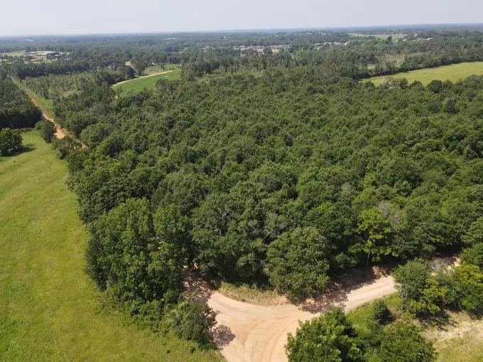 New Brockton, Coffee County, AL Homesites for sale Property ID: 418394012