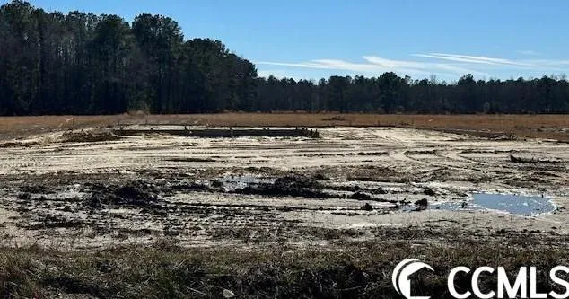 6726 Hwy 366, Conway, SC 29526 - MLS 2400975 for Sale