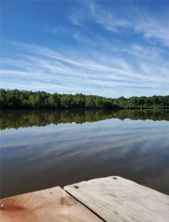 29360 Francis Lake Drive NW, Bradford, MN 55040  620091266 for Sale