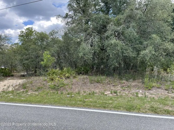 Weeki Wachee, Hernando County, FL Undeveloped Land, Homesites for sale Property ID: 416460618