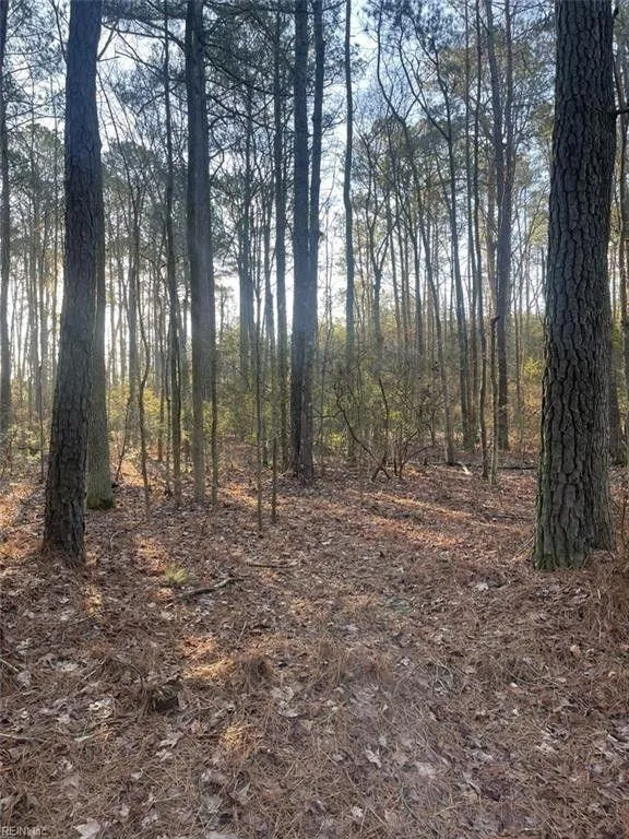 Mathews, Mathews County, VA Undeveloped Land, Lakefront Property, Waterfront Property for sale Property ID: 415700357