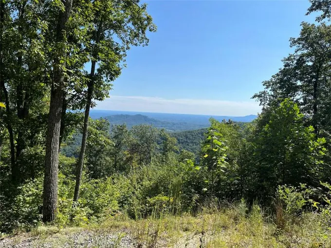 373 HICKORY NUT LN, Lake Lure, NC 28746 Land For Sale  MLS# 4072679