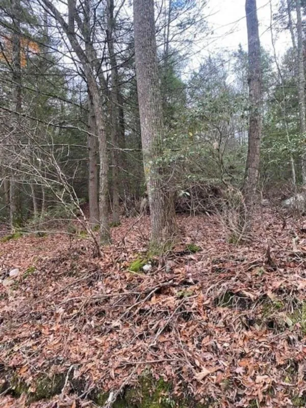 141 BRANDT RD, Cuddebackville, NY 12729 Land For Sale  MLS# 20233015